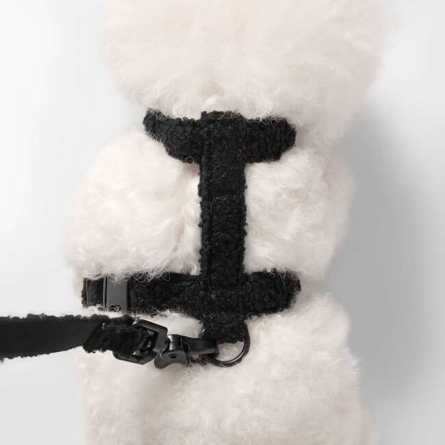Teddy Bouclé Adjustable H Harness and Leash Walk Set with Poop Bag Pouch, Black - Collars, Leashes & Harnesses - 3