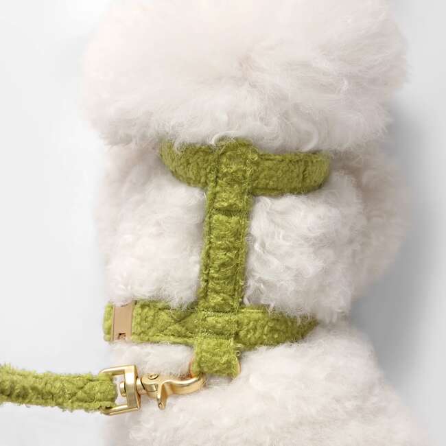 Teddy Bouclé Adjustable H Harness and Leash Walk Set with Poop Bag Pouch, Olive Green - Collars, Leashes & Harnesses - 3