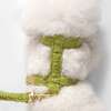 Teddy Bouclé Adjustable H Harness and Leash Walk Set with Poop Bag Pouch, Olive Green - Collars, Leashes & Harnesses - 3