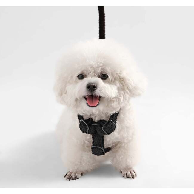 Teddy Bouclé Adjustable H Harness and Leash Walk Set with Poop Bag Pouch, Black - Collars, Leashes & Harnesses - 6