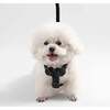 Teddy Bouclé Adjustable H Harness and Leash Walk Set with Poop Bag Pouch, Black - Collars, Leashes & Harnesses - 6
