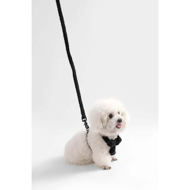Teddy Bouclé Adjustable H Harness and Leash Walk Set with Poop Bag Pouch, Black - Collars, Leashes & Harnesses - 7