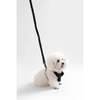 Teddy Bouclé Adjustable H Harness and Leash Walk Set with Poop Bag Pouch, Black - Collars, Leashes & Harnesses - 7
