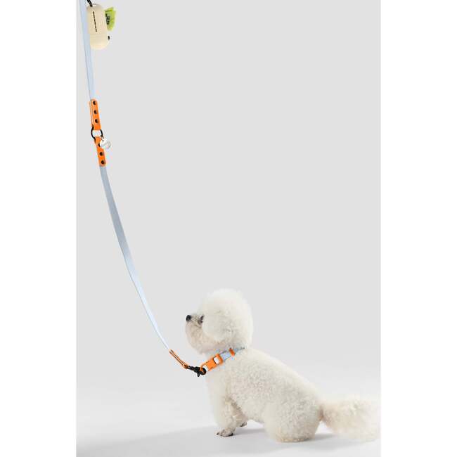 Luna 8FT Adjustable 6-in-1 Waterproof Hands Free Leash and Collar with LED Flashlight, Bag Dispenser, and Poop Bag Holder, Light Blue/Orange - Collars, Leashes & Harnesses - 6