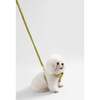 Teddy Bouclé Adjustable H Harness and Leash Walk Set with Poop Bag Pouch, Olive Green - Collars, Leashes & Harnesses - 7