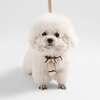 Teddy Bouclé Adjustable H Harness and Leash Walk Set with Poop Bag Pouch, Beige - Collars, Leashes & Harnesses - 6