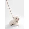 Teddy Bouclé Adjustable H Harness and Leash Walk Set with Poop Bag Pouch, Beige - Collars, Leashes & Harnesses - 7