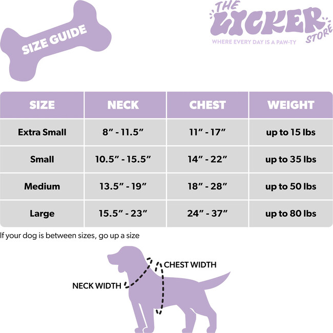 Teddy Bouclé Adjustable H Harness and Leash Walk Set with Poop Bag Pouch, Beige - Collars, Leashes & Harnesses - 8