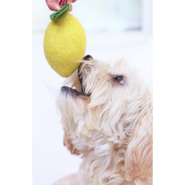 WOOL DOGGY LEMON