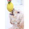 WOOL DOGGY LEMON - Pet Toys - 2 - thumbnail