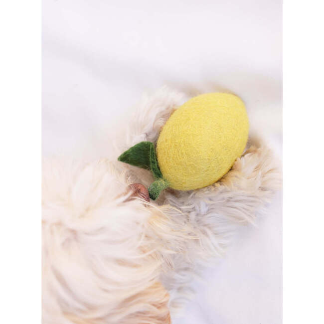 WOOL DOGGY LEMON - Pet Toys - 3