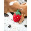 WOOL DOGGY STRAWBERRY - Pet Toys - 3 - thumbnail