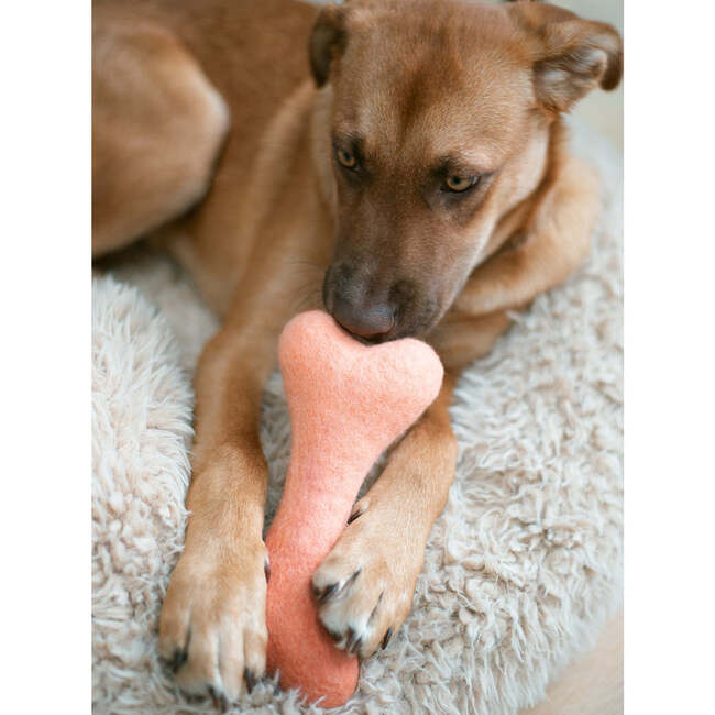 WOOL OMBRE BONE, Sunset - Pet Toys - 3
