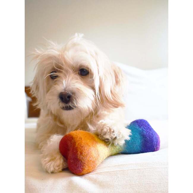 WOOL RAINBOW BONE - Pet Toys - 3
