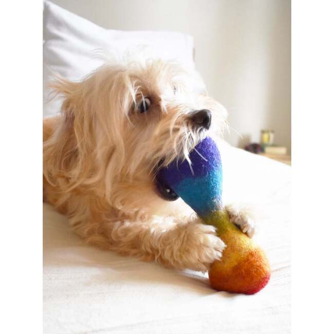 WOOL RAINBOW BONE - Pet Toys - 4