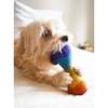 WOOL RAINBOW BONE - Pet Toys - 4 - thumbnail