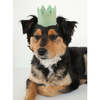 NEUTRAL PARTY CROWNS, Mint - Pet Costumes - 2 - thumbnail