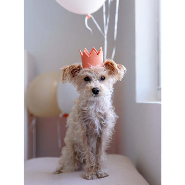 NEUTRAL PARTY CROWNS, Peach