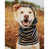 MB SNOOD, Navy & Tan - Dog Bandanas & Neckties - 3 - thumbnail
