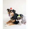 HOLIDAY HAT, Santa - Pet Costumes - 2 - thumbnail