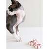 KITTY PEPPERMINT - Pet Toys - 2 - thumbnail