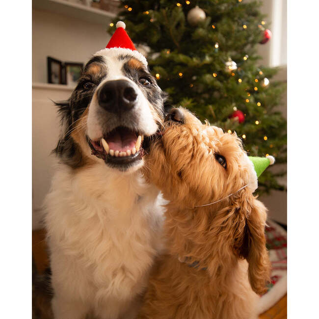 HOLIDAY HAT, Santa - Pet Costumes - 3