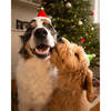 HOLIDAY HAT, Santa - Pet Costumes - 3 - thumbnail