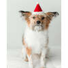 HOLIDAY HAT, Santa - Pet Costumes - 5 - thumbnail