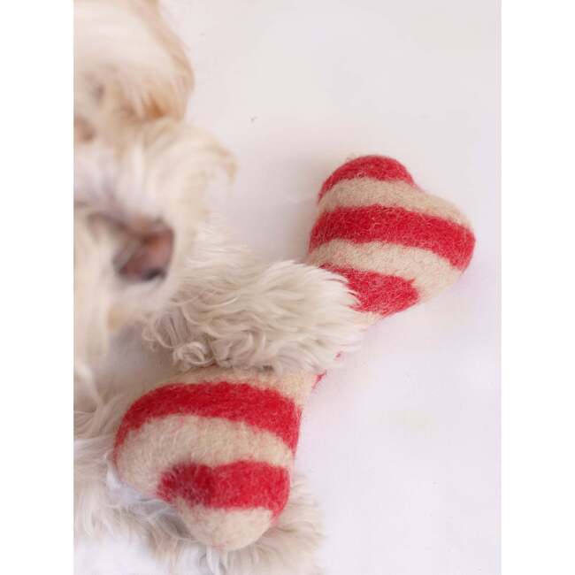 HOLIDAY WOOL BONES, Candy Cane - Pet Toys - 3