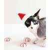 KITTY PEPPERMINT - Pet Toys - 4 - thumbnail