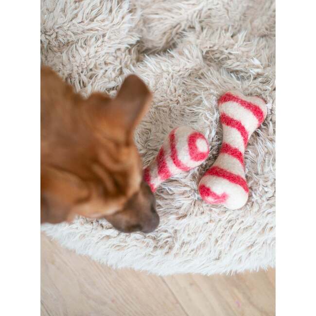 HOLIDAY WOOL BONES, Candy Cane - Pet Toys - 5