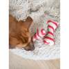 HOLIDAY WOOL BONES, Candy Cane - Pet Toys - 5