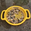 Large Sand Sieve 3 Pack (1 red, 1 blue, 1 yellow) - Water Toys - 4 - thumbnail