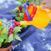 Let's Grow Gardening Bundle - Water Toys - 3
