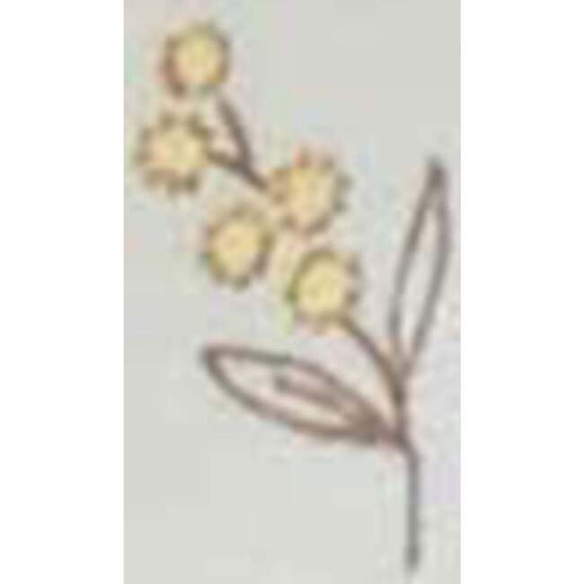 2 Pack Zip Footie Vanilla Wattle Bee Pack - Rompers - 6