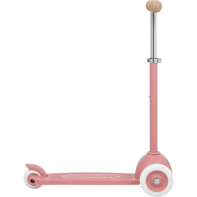 Eco Scooter, Raspberry