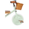 Trike, Pale Mint - Tricycles - 2