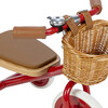 Trike, Red - Tricycles - 5