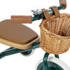 Trike, Green - Tricycles - 5 - thumbnail