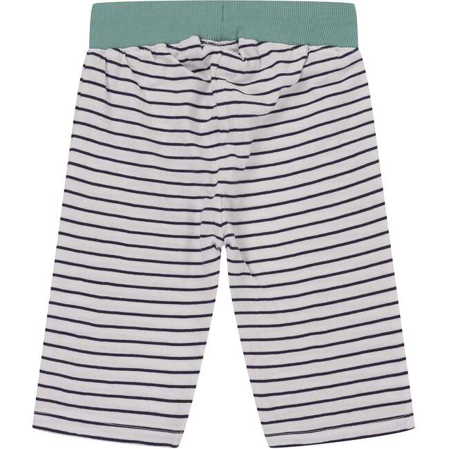 Tiger And Stripe Shorts - 2 Pack