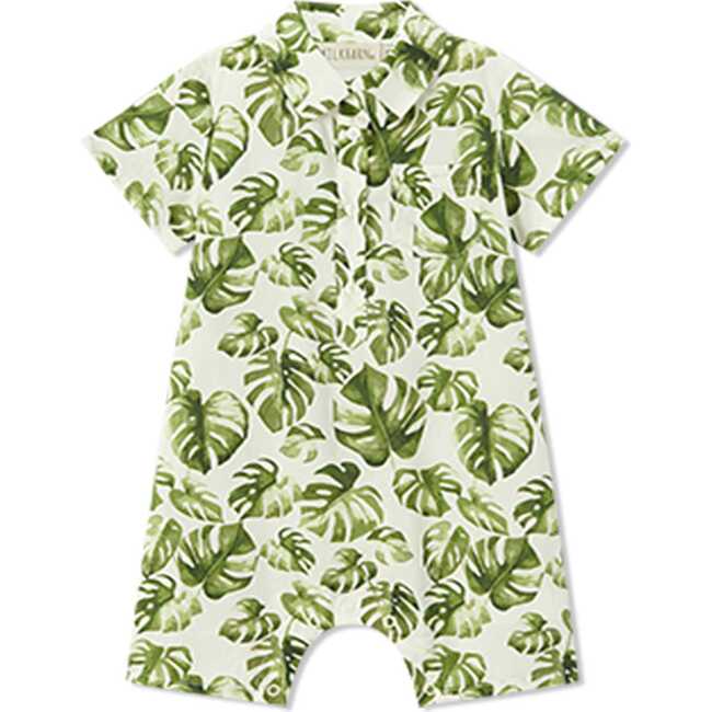 Island Leaf Collared Shortall