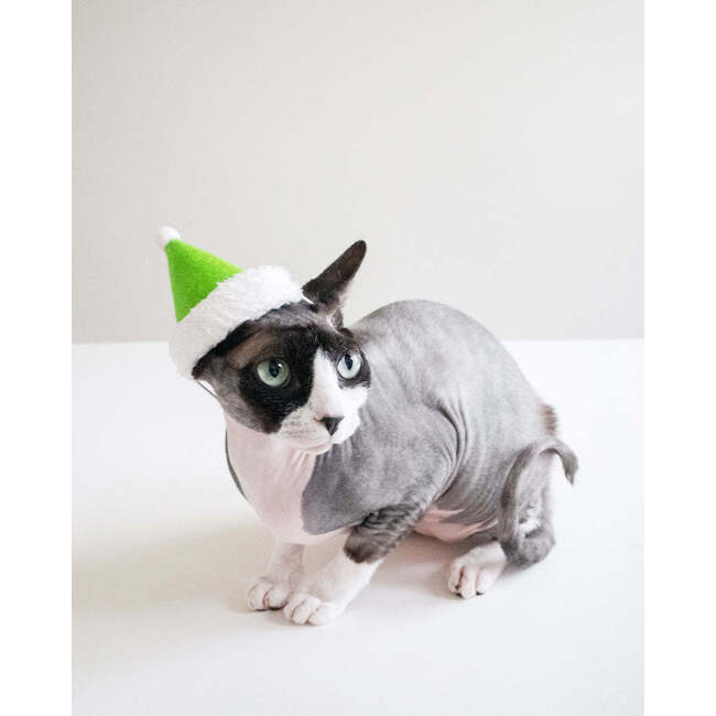 HOLIDAY HAT, Elf - Pet Costumes - 4