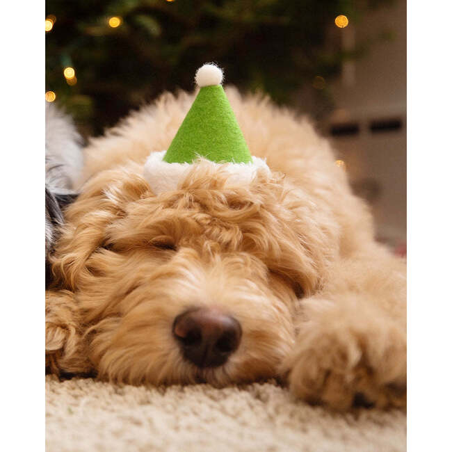 HOLIDAY HAT, Elf - Pet Costumes - 5