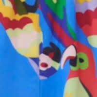 Parrot Swim Trunk, Blue - Swim Trunks - 4