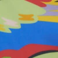 Parrot Bikini, Blue - Two Pieces - 4