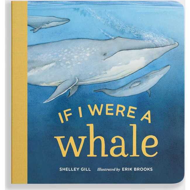 If I Were a Whale Board Book