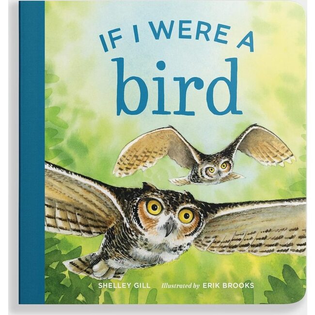 If I Were a Bird Board Book