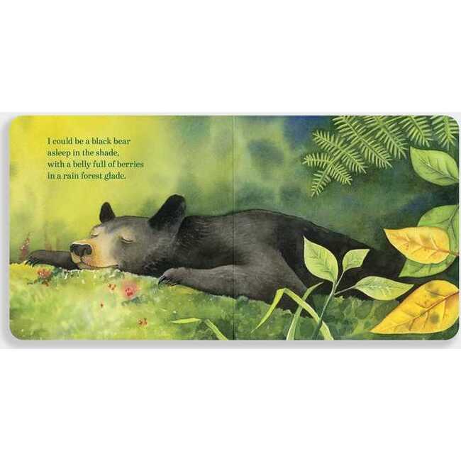 If I Were a Bear Board Book