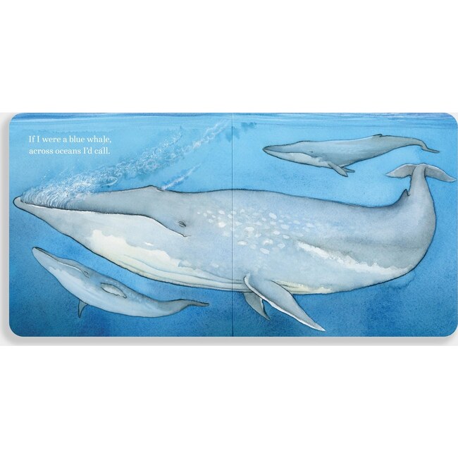 If I Were a Whale Board Book - Books - 3