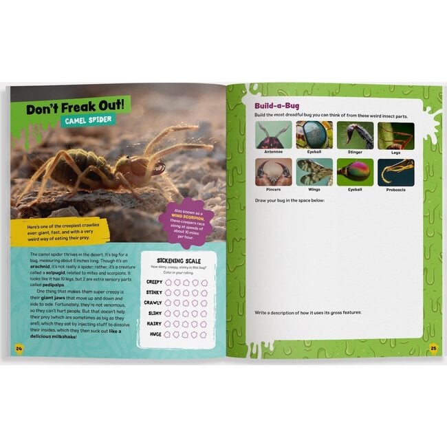 Grossest Bug Activity Book EVER! - Books - 4
